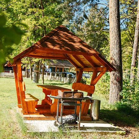 Hotel Casa Marta Sîmbăta de Sus Zewnętrze zdjęcie